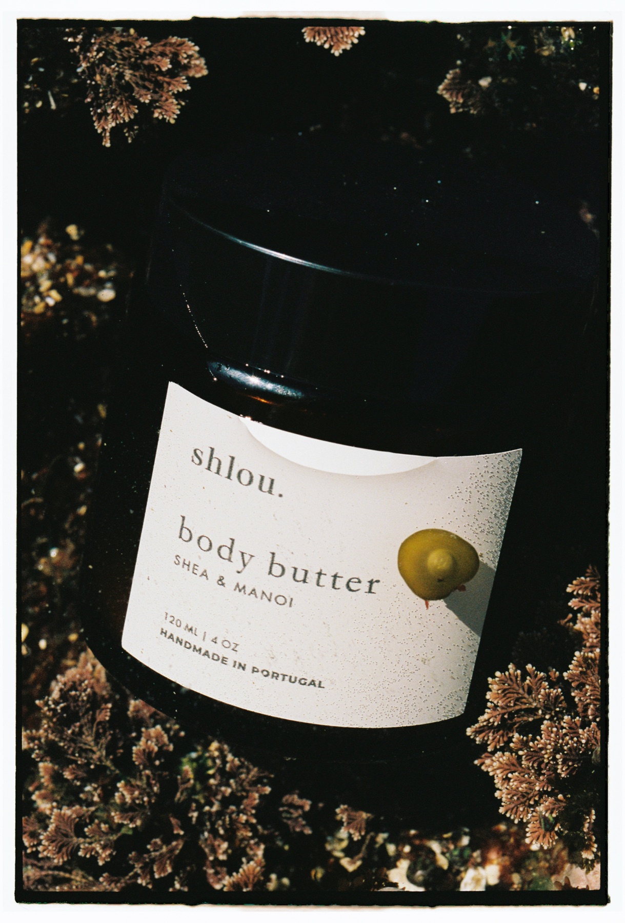 A jar of body butter resting among coastal greens